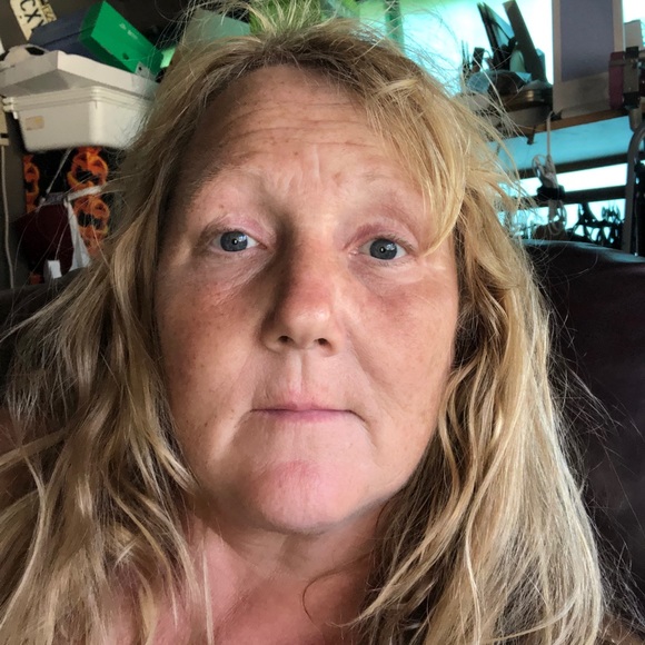 Meet your Posher, Darcy - Picture 1 of 1